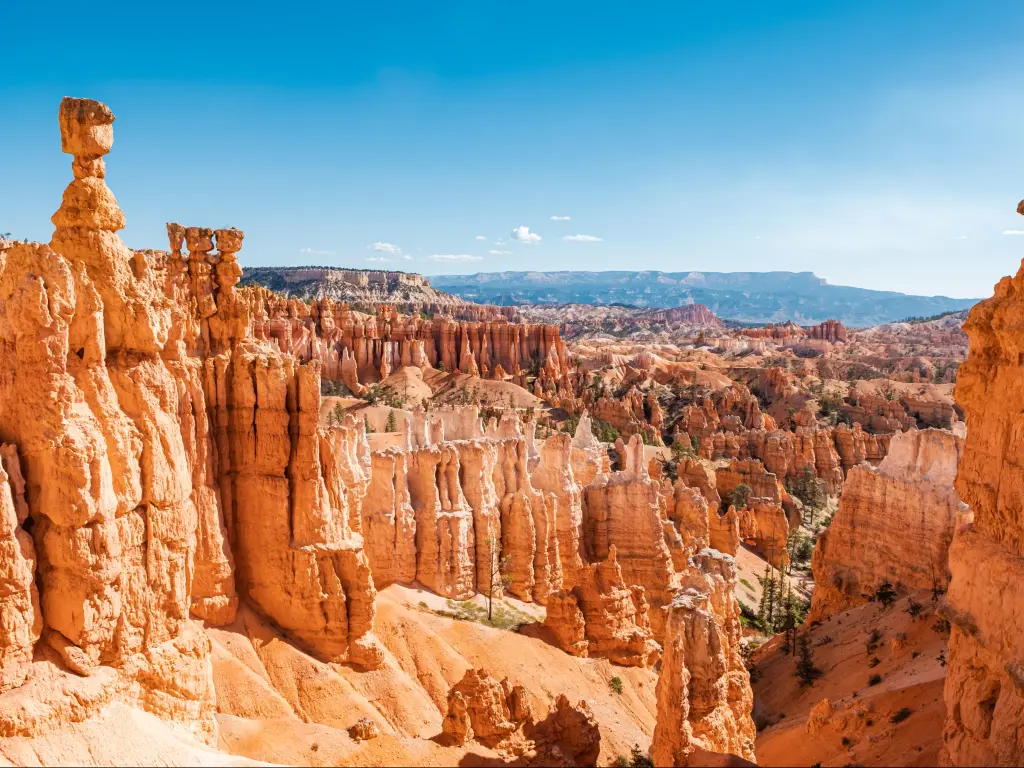Bryce Canyon National Park, Utah on a crystal clear day with rugged red rock formations standing tall in the canyon