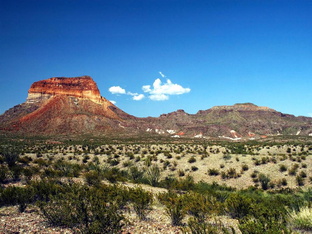 A view of the Chisos Mountains in big Bend National Park.