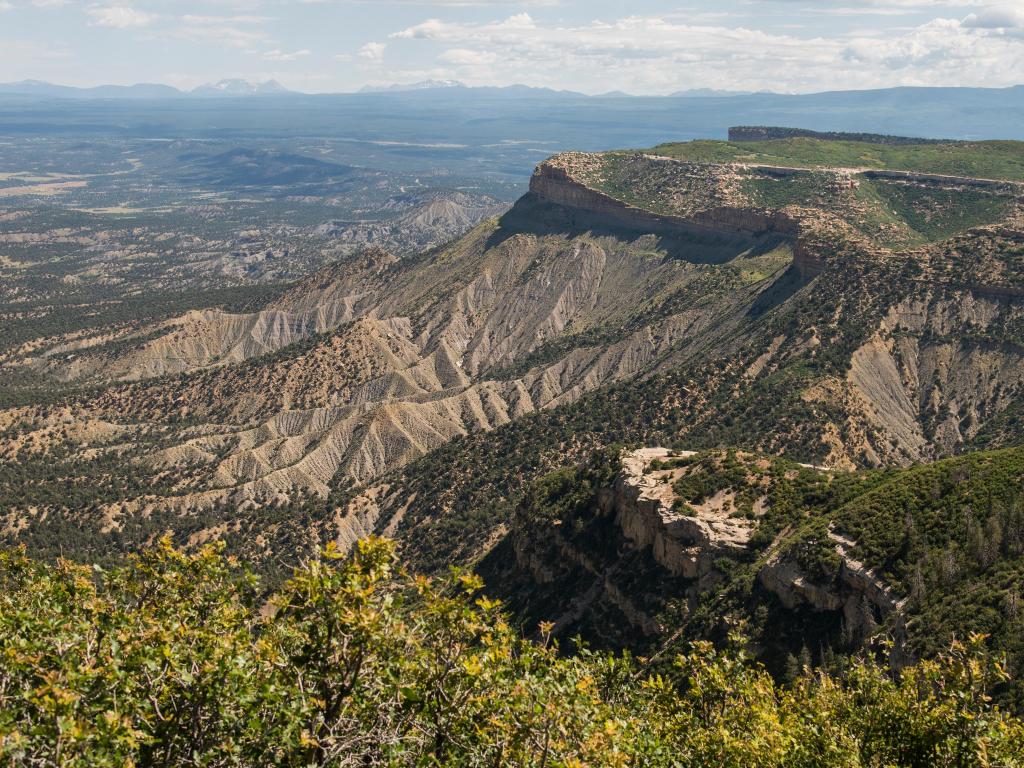 Panoramic view from Park Point Overlook across dense woodlands and canyons at Mesa Verde National Park