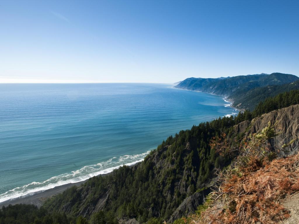Kings Range National Conservation Area, California, USA which runs along California's northern Pacific coastline taken on a clear sunny day with trees and the ocean below the cliffs.
