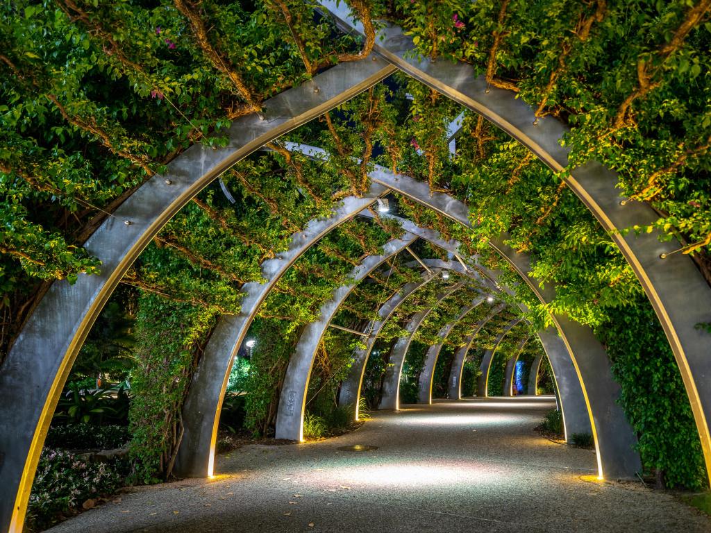 Brisbane Arbour walk located in the picturesque Southbank parklands