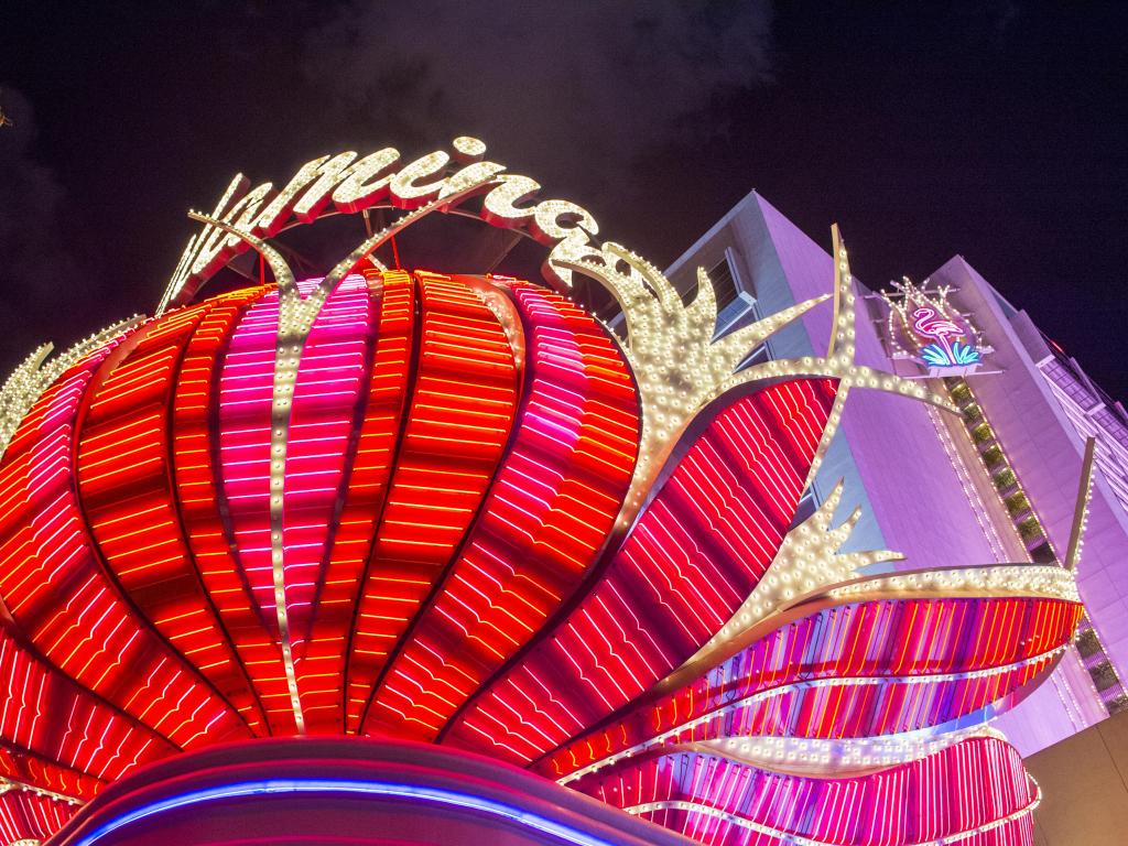 The lit-up pink neon, flower-shaped sign on the hotel on a dark evening