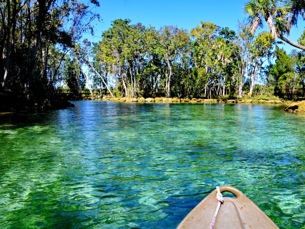 Crystal River, Florida taken at Three Sisters Springs with turquoise waters on a sunny day and trees in the distance. 