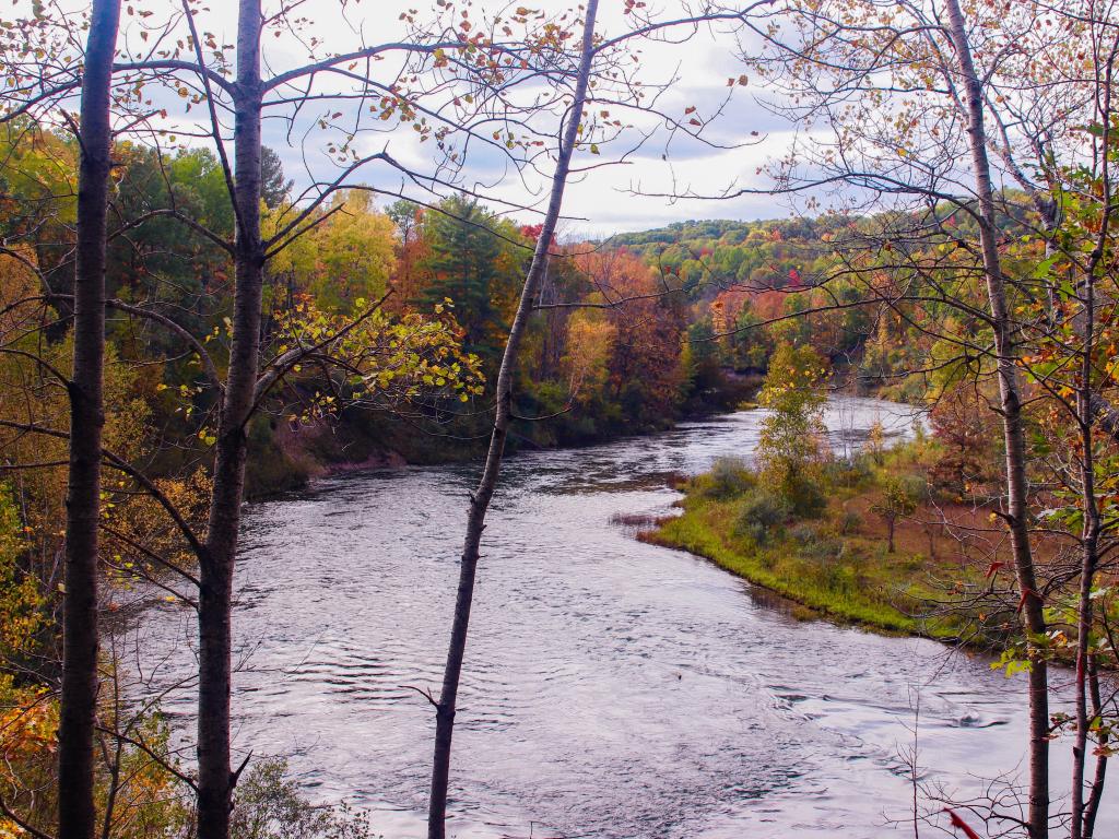 River surrounded by colourful trees