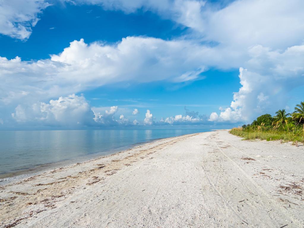 Gulf of Mexico beach at Sanibel Island Lighthouse Beach Park on Sanibel Island Florida