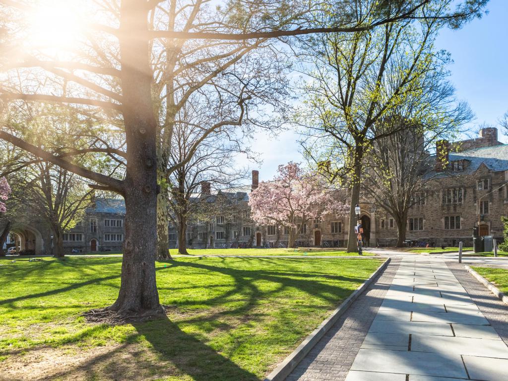 A large stone building at Princeton University with trees in front of it and the sun shining through