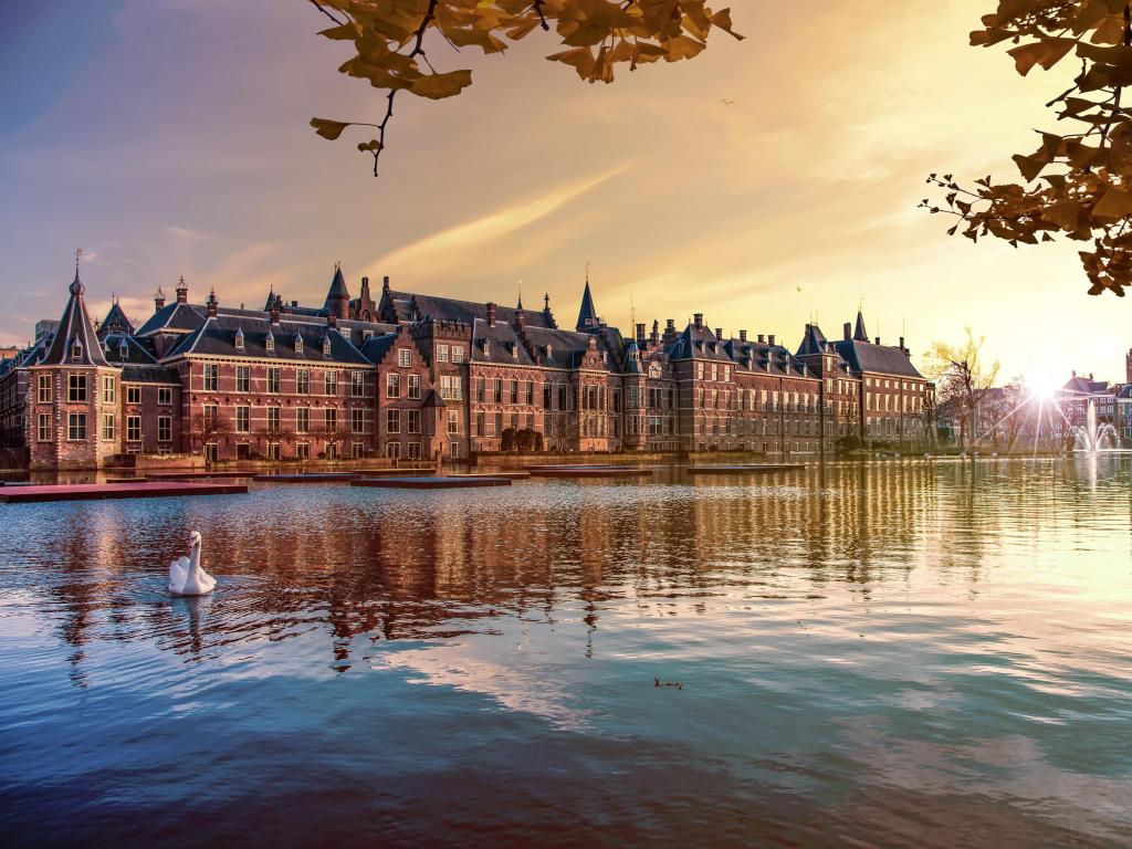 Sunset on the Binnenhof building and The Hague city reflected on the pond with a swan swimming on, Netherlands