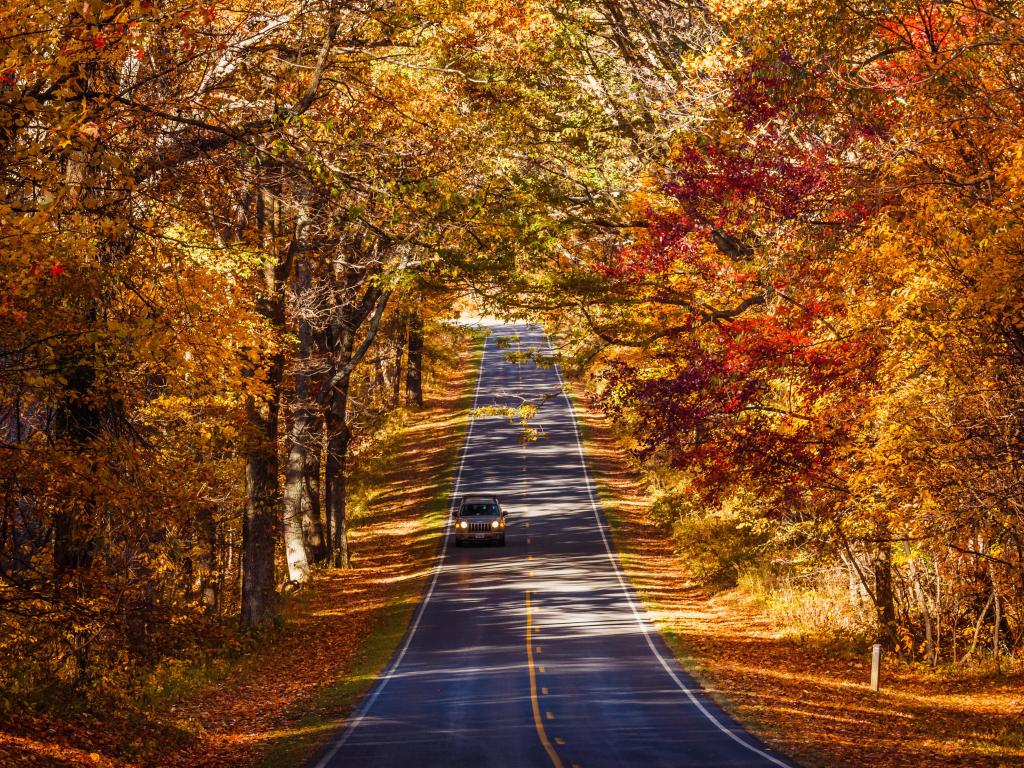 Road through Shenandoah National Park with vibrant fall colours