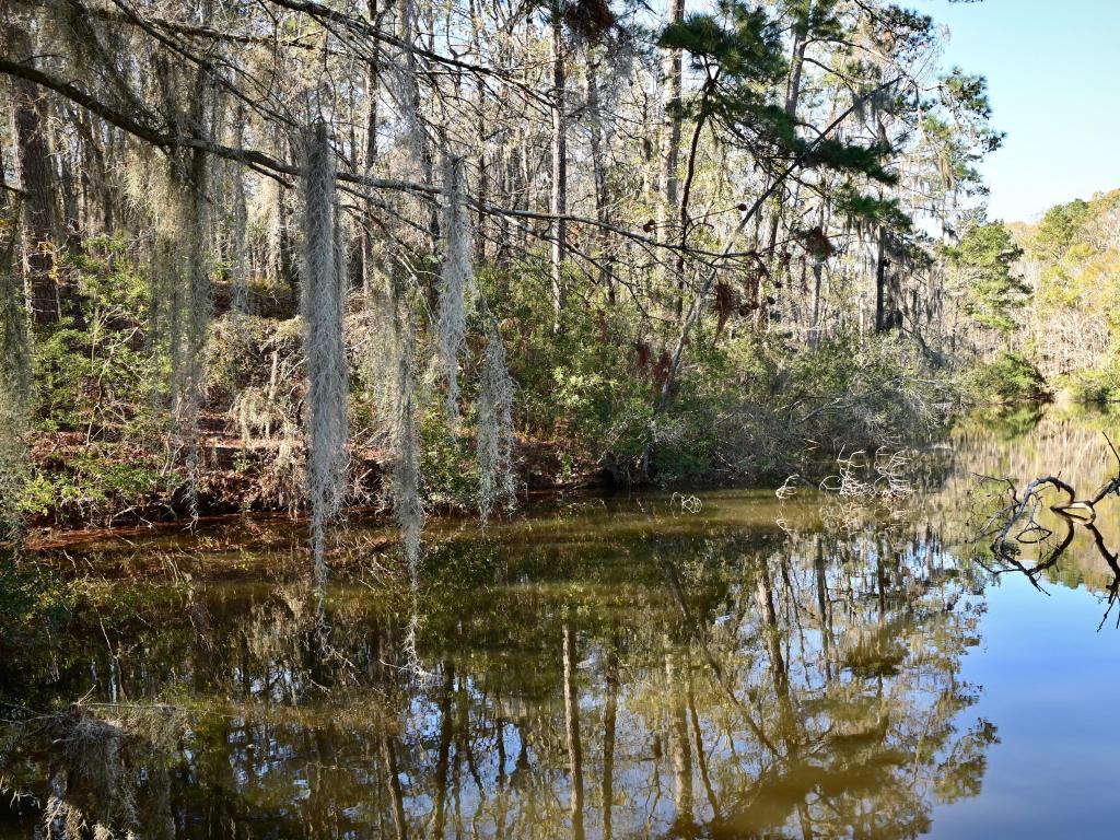 Santee State Park Santee, SC USA with a view of Lake Marion, which borders this state park. 