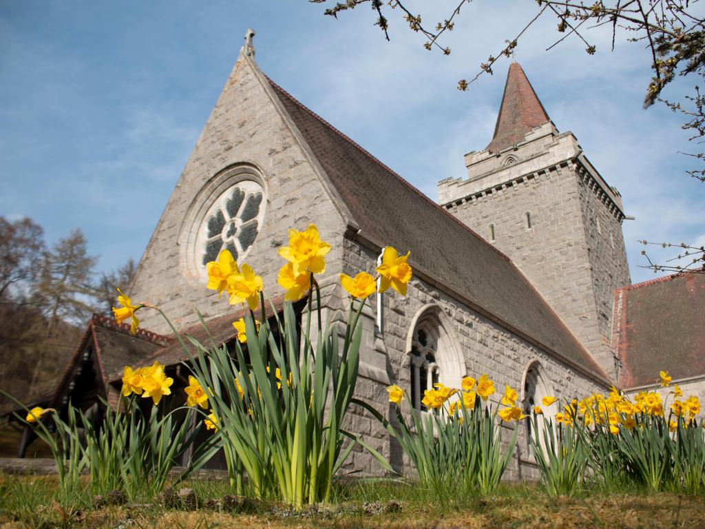 Up close view of Crathie Kirk surrounded by daffodils in Crathie, Aberdeenshie, Aberdeen