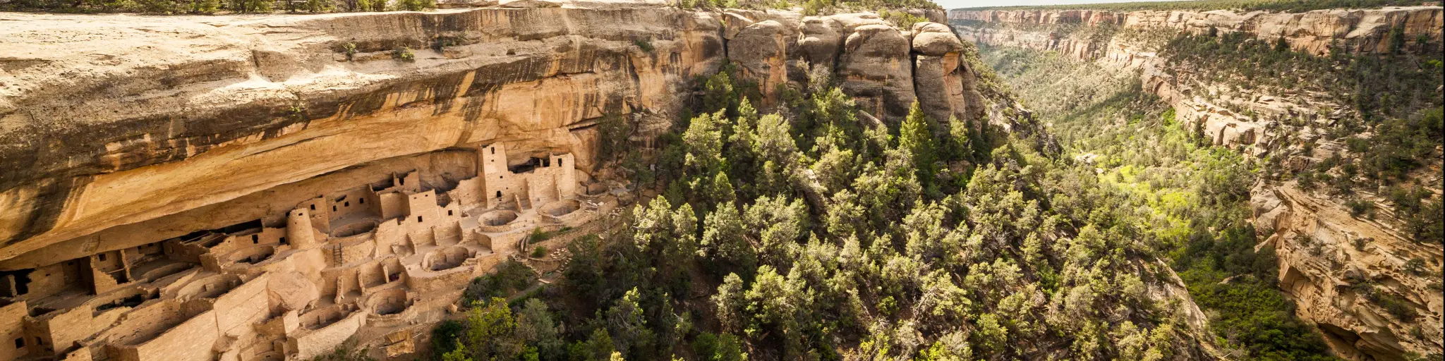 Homes built into steep rocky cliff, with deep tree lined canyon to the side