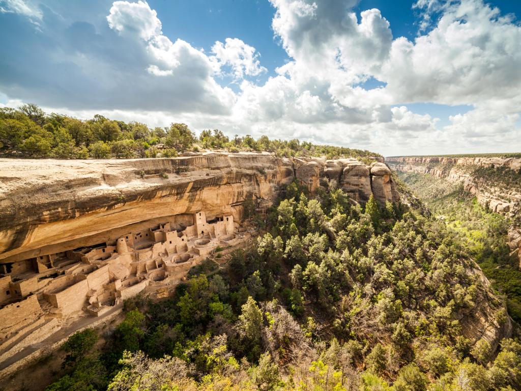 Homes built into steep rocky cliff, with deep tree lined canyon to the side