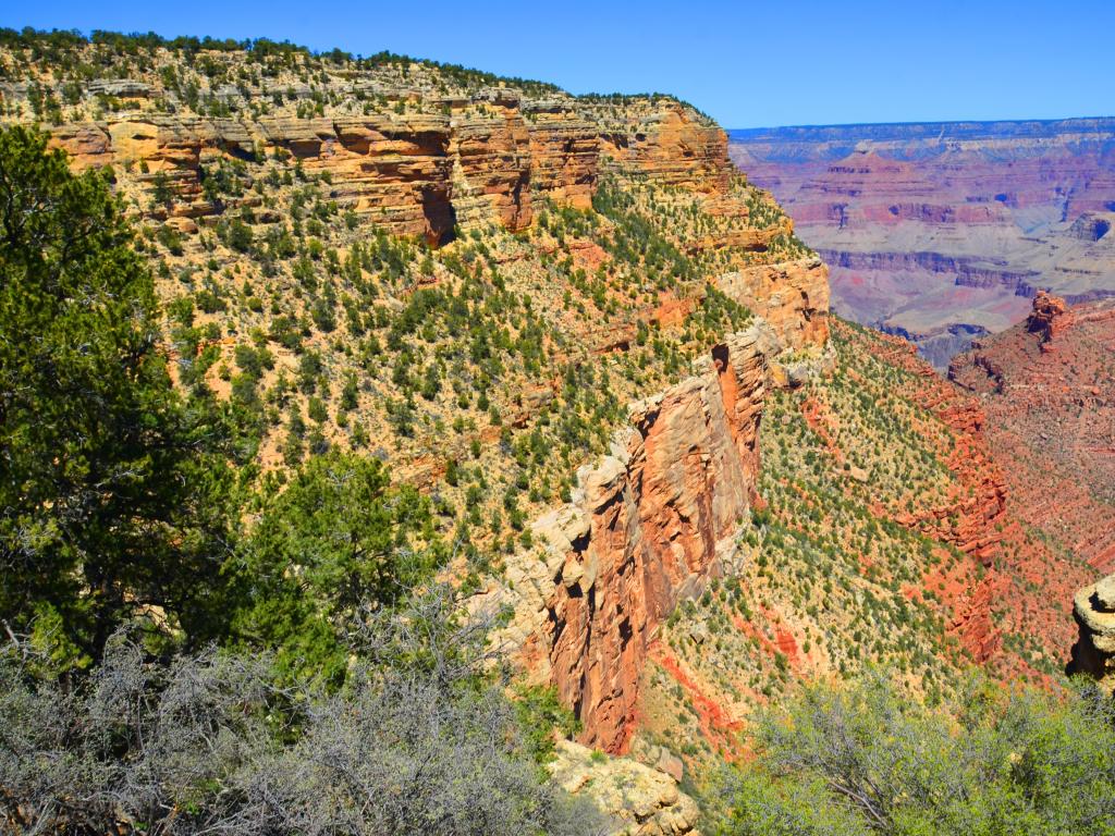 Kaibab National Forest, USA with a steep-sided canyon overlooking the national forest below and further canyons in the distance with a blue sky above.