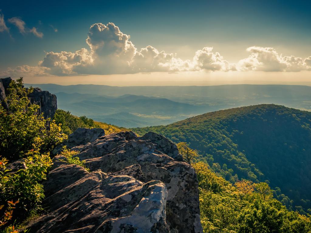 Shenandoah National Park, Virginia, USA with an evening view from cliffs on Hawksbill Summit, overlooking the tree covered hills in the distance.