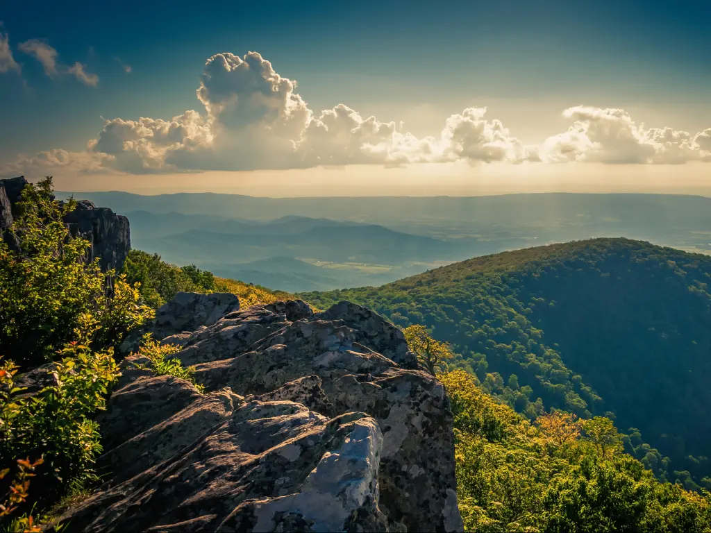 Shenandoah National Park, Virginia, USA with an evening view from cliffs on Hawksbill Summit, overlooking the tree covered hills in the distance.