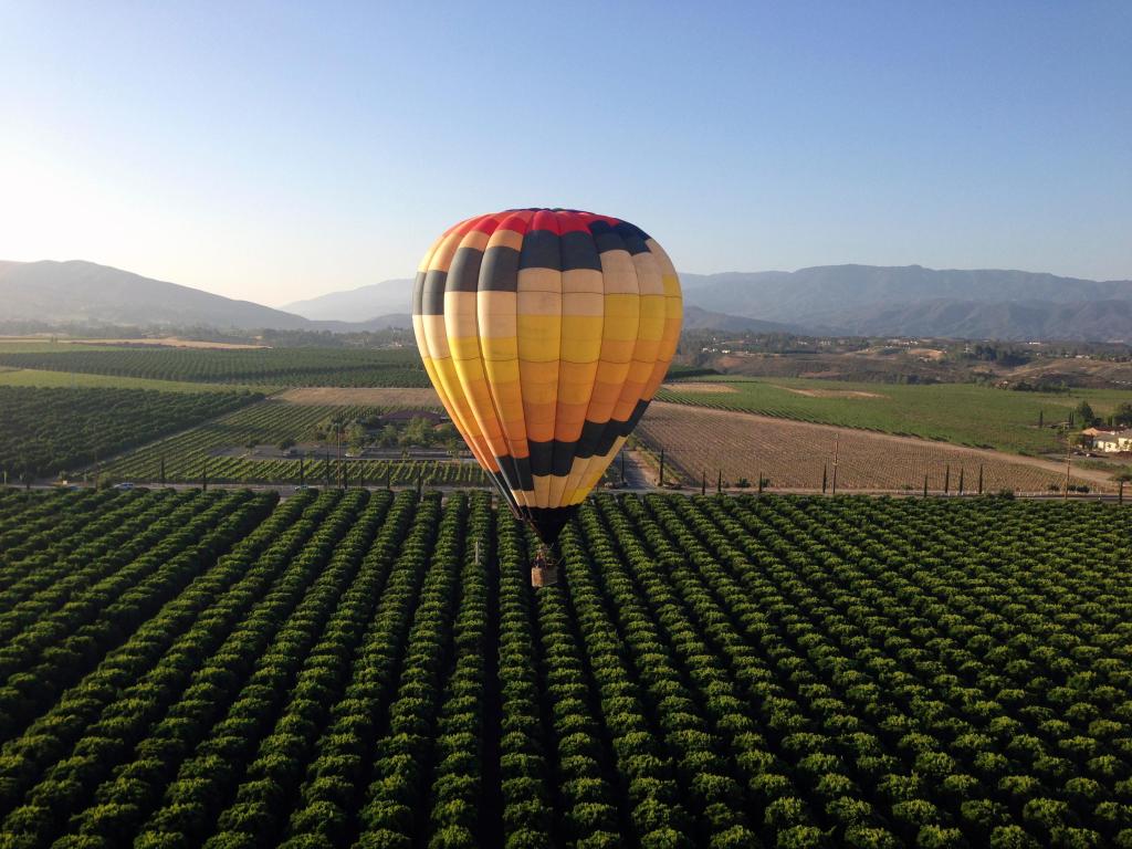 Hot air balloon in Temecula Valley, California.