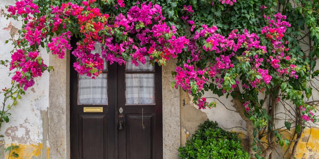 Front door of a house in Obidos covered in pink flowers 