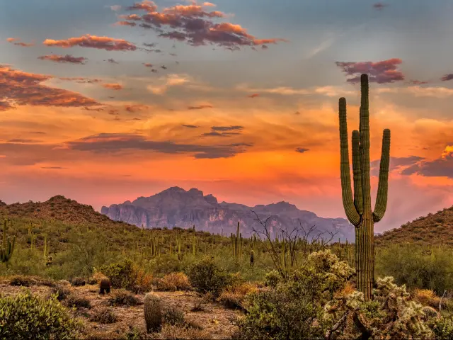 Sunset in the Sonoran Desert, Phoenix, Arizona