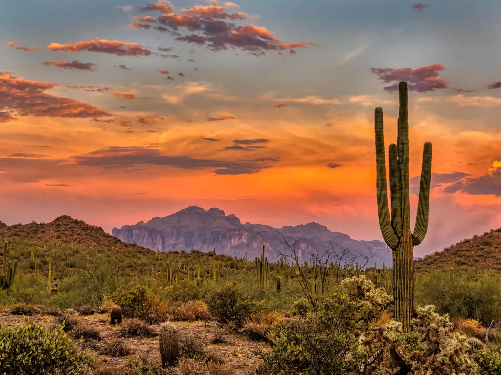 Sunset in the Sonoran Desert, Phoenix, Arizona