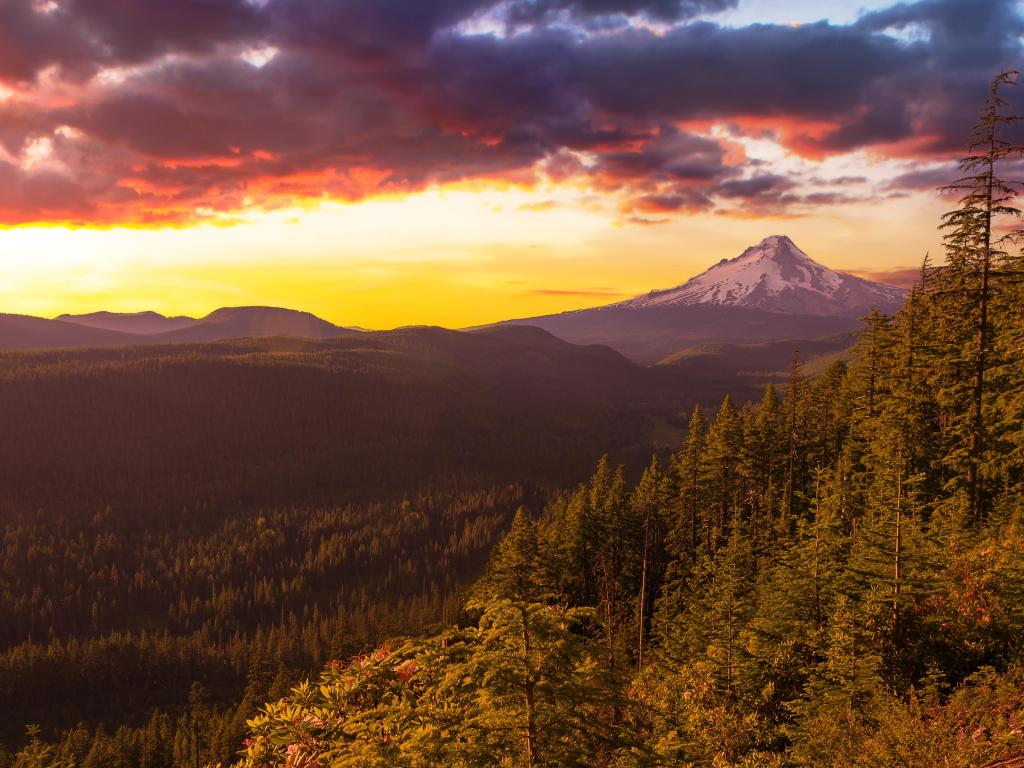 Mt. Hood, Oregon, USA with a majestic sunset view of Mt. Hood with dramatic skies during the summer months and trees in the foreground.