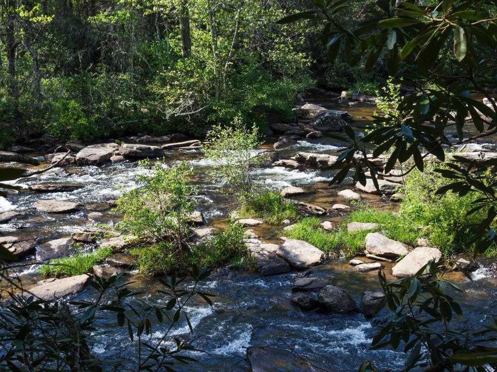 DuPont State Recreational Forest, NC, USA with a view of a mountain river with stones and logs in the forest. 