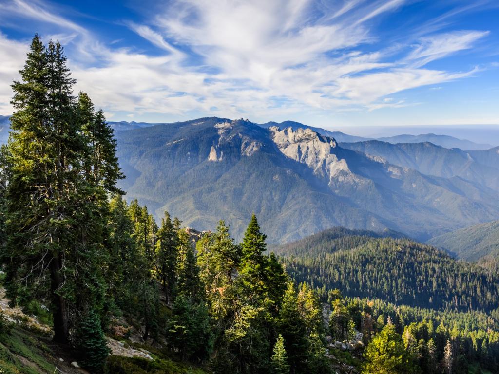 Sequoia National Park, Sierra Nevada with tree covered hills in the foreground looking over at the mountains in the distance on a sunny day. 