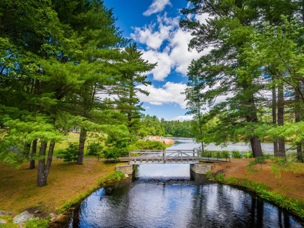 Bridge and pine trees at Bear Brook State Park, New Hampshire, USA.