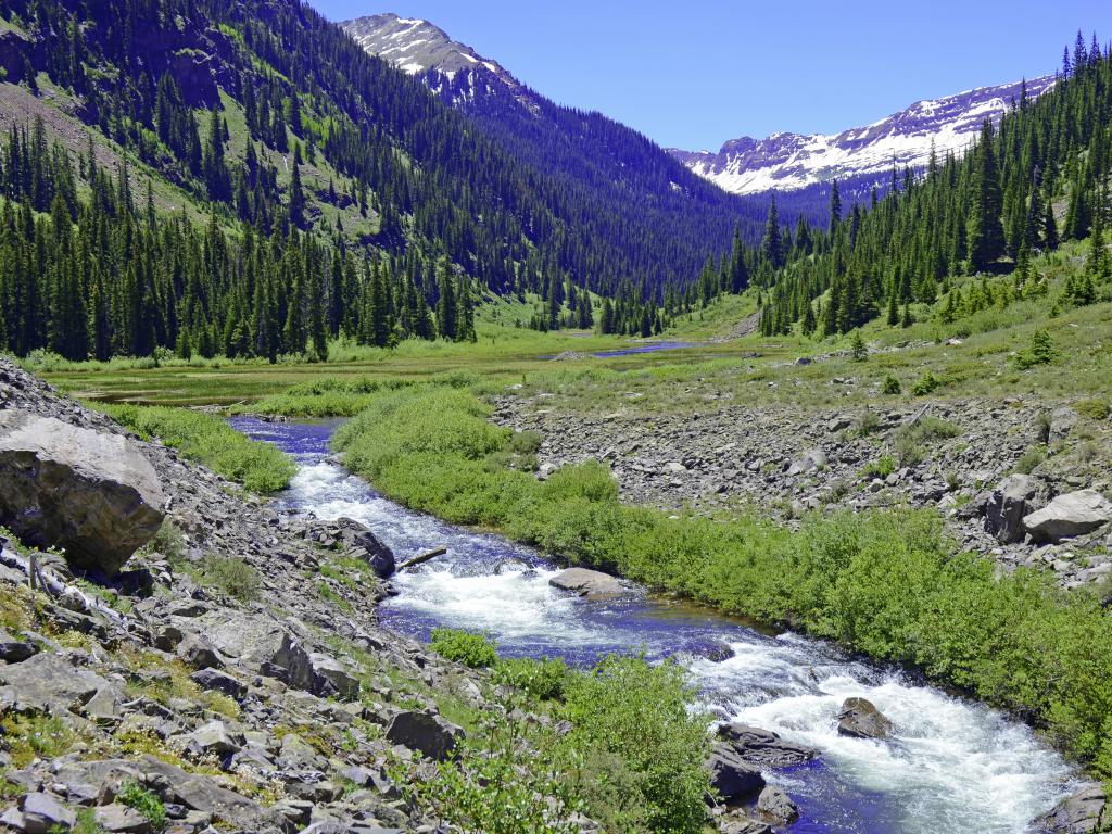 Hiking near Denver in the summer - walk along a stream in the Elk Range, Rocky Mountains