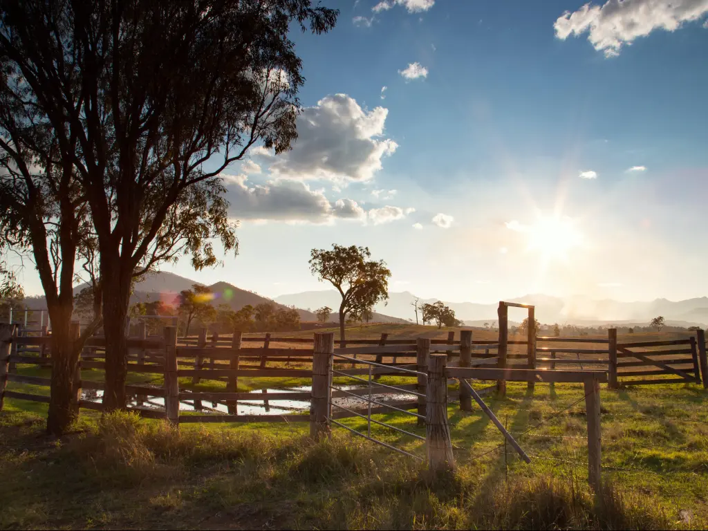Evening sun setting over fields at Lake Maroon, Scenic Rim, Queensland