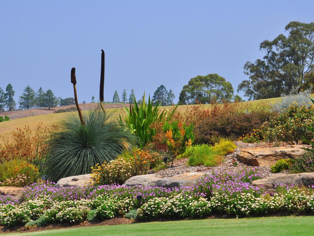 Beautiful landscape at Australian Botanic Garden on a sunny day
