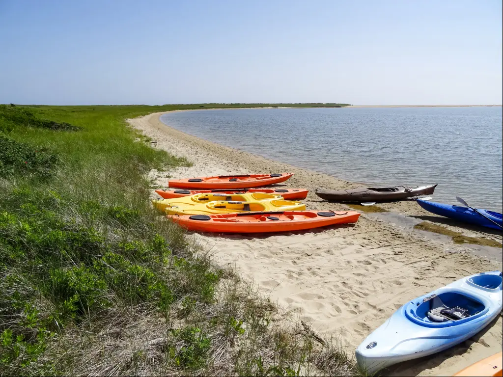 A sunny day in Tisbury Great Pond with some colorful kayaks on a white sand beach and green grass at the dunes in Martha's Vineyard in summer