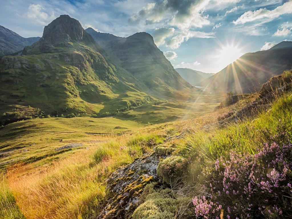 Glencoe, Lochaber, HIghlands, Scotland, UK with a stunning view of the valley below the mountains, wildflowers in the background and the sun setting in the distance.