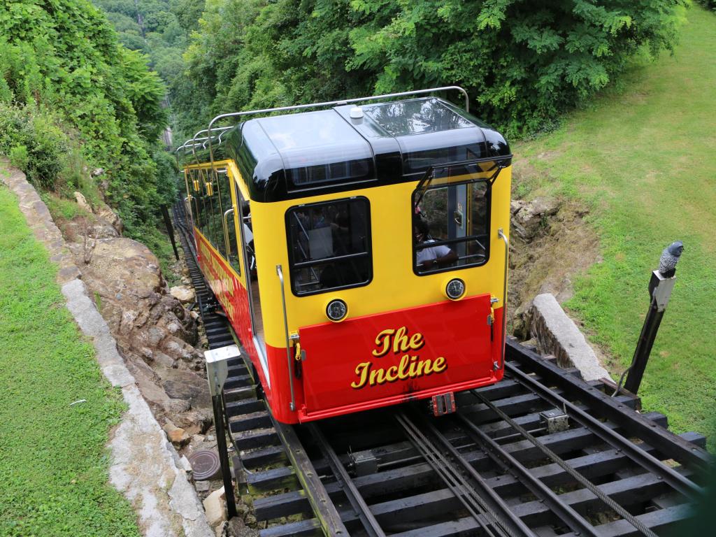 Touristic train going downhill with lush greenery lining both sides of the rails