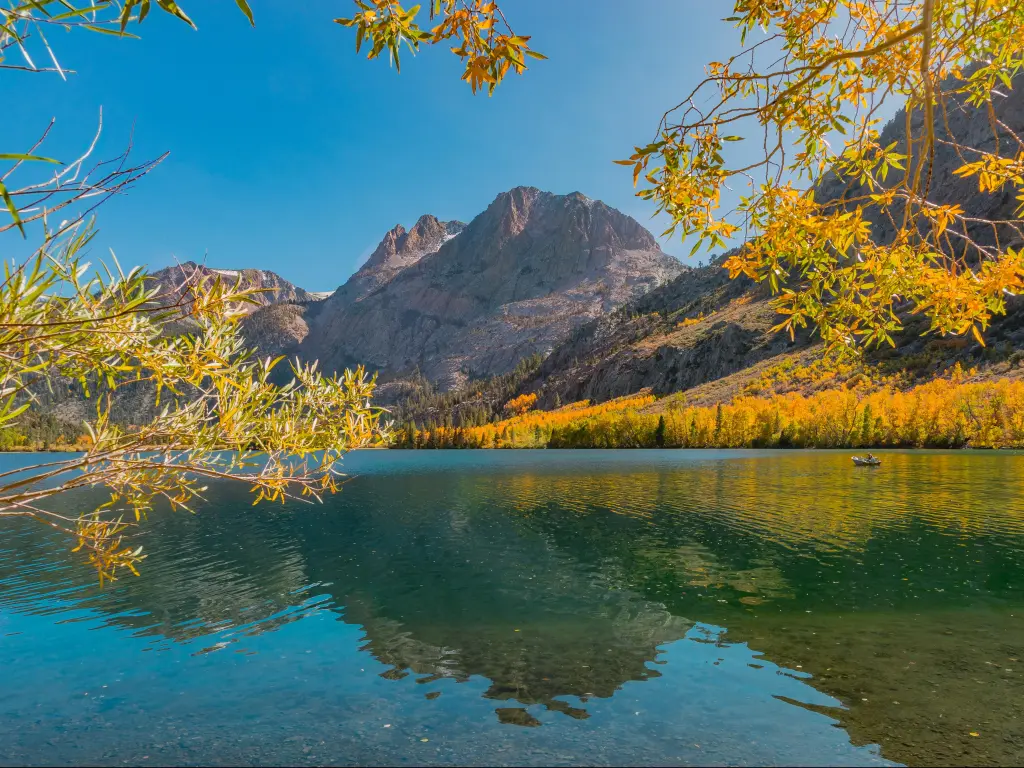 June Lake, California, USA with golden Willow and Aspen trees in the foreground surrounding the lake and the Californian Sierra Nevada mountains in the background on a sunny day.