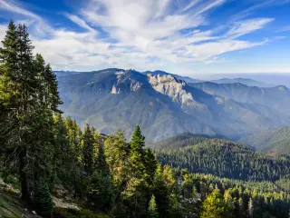 Panoramic shot of Sequoia National Park, with the mountains soaring to the blue sky and towering sequoia trees all around