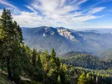 Panoramic shot of Sequoia National Park, with the mountains soaring to the blue sky and towering sequoia trees all around