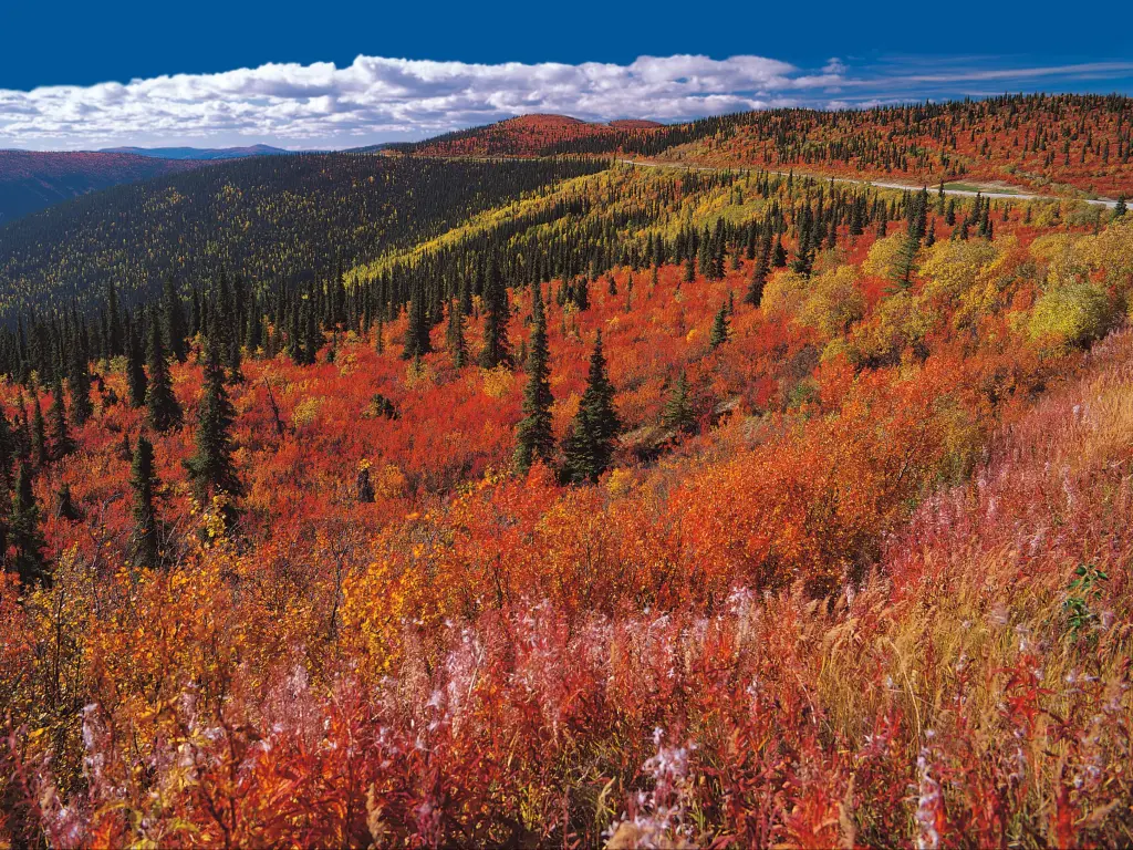 Yukon in the fall - Top of the world Highway, above Dawson City