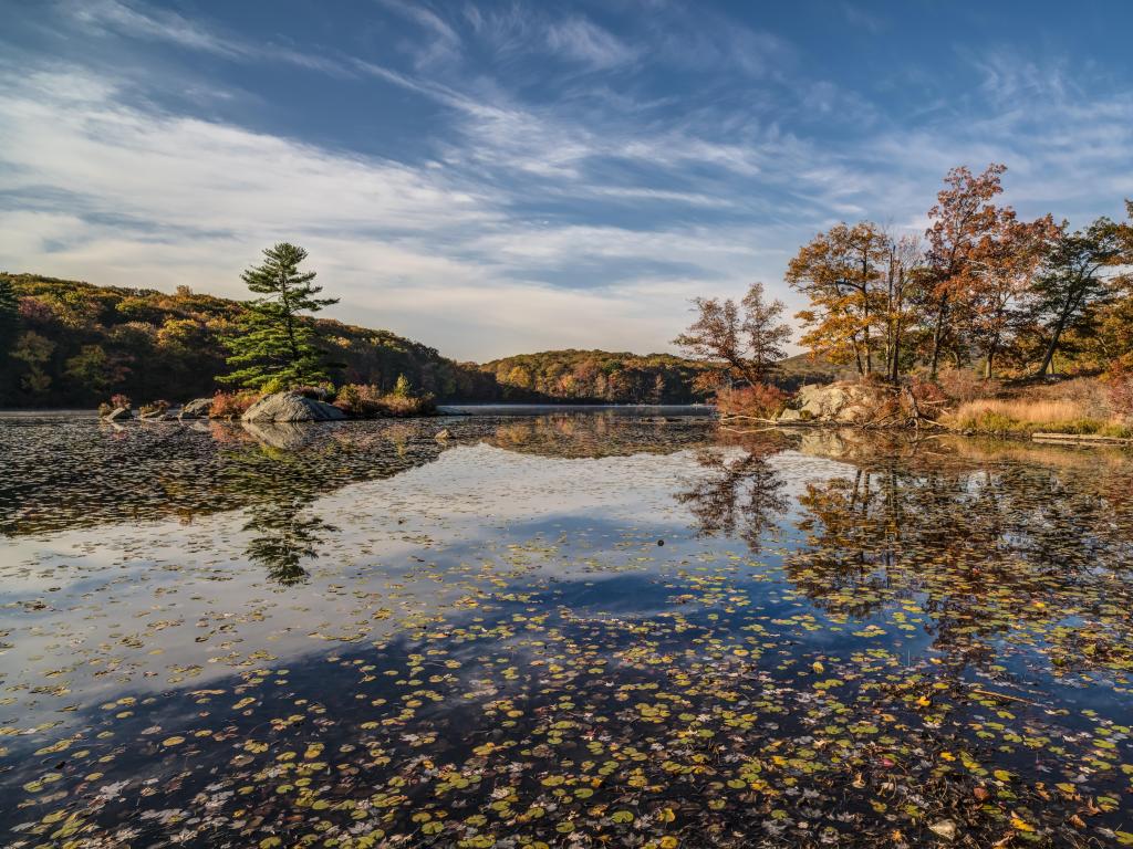 Harriman State Park, New York State, USA taken at autumn by the lake with trees scattered across the surface. 