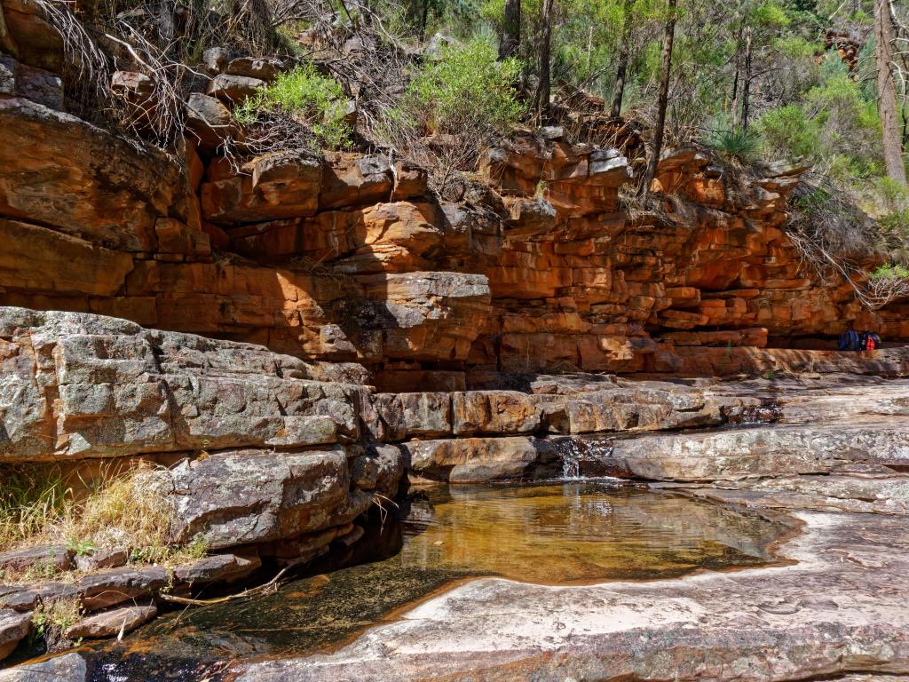 Water Stream surrounded by rocky walls and trees