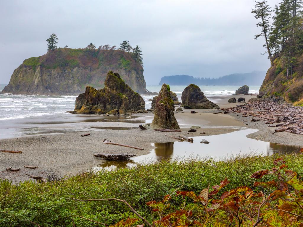 Pacific Coast view from Ruby Beach