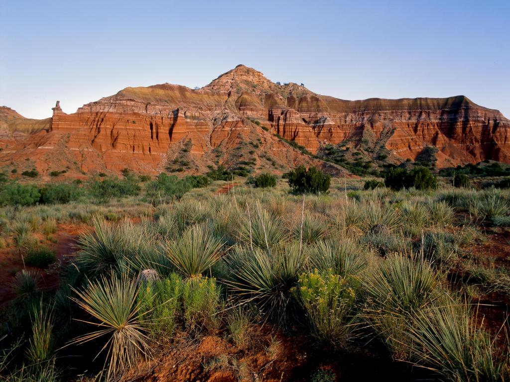 The imposing red rocks of the canyon wall ascend from the desert vegetation of the canyon floor at Palo Duro Canyon, located in the Texas panhandle, near the cities of Canyon and Amarillo, Texas.