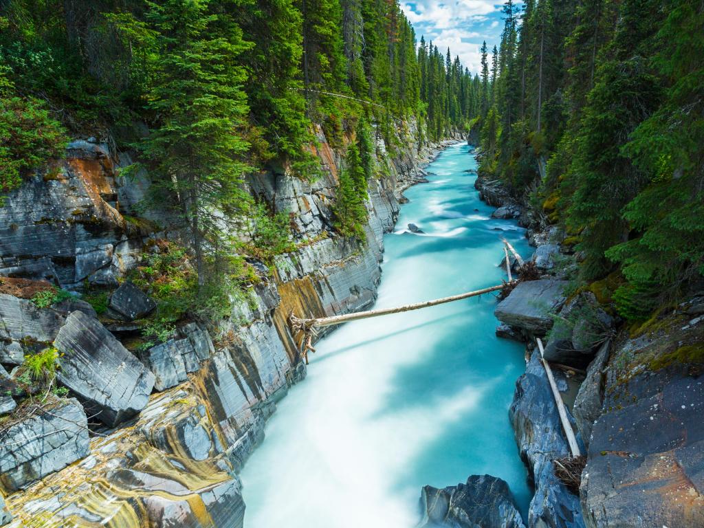 Kootenay National Park, Canada taken at Numa Falls with trees and rocked between the river.