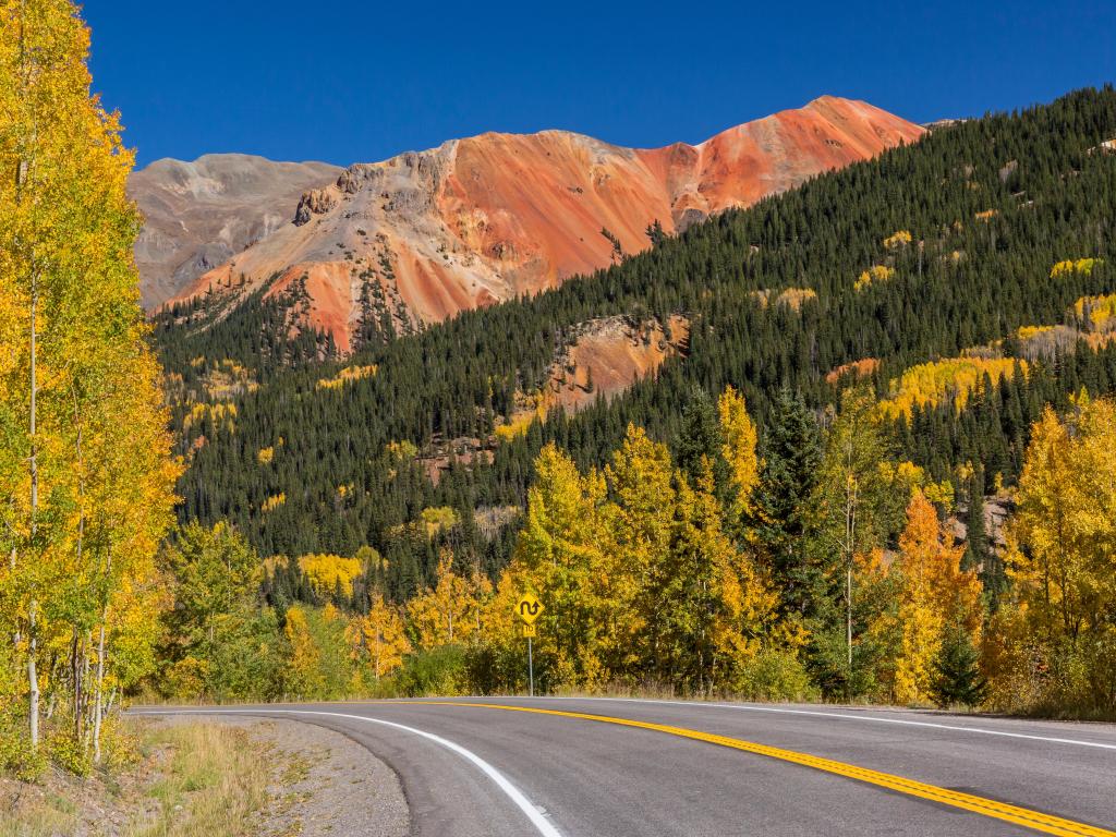 The vibrant golden aspen trees found along the Red Mountain Pass, situated on the scenic Million Dollar Highway through Colorado's Uncompahgre National Forest.