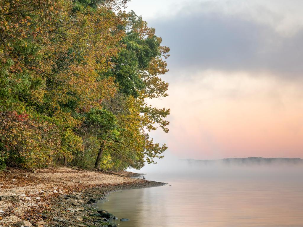 Natchez Trace Parkway, USA with a foggy sunrise over the Tennessee River with trees in the edge.