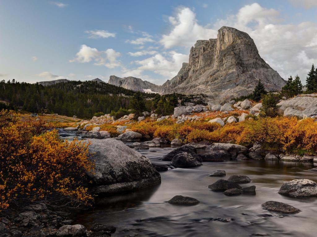 Bridger-Teton National Forest, Wyoming, USA taken at Little Wind River and Buffalo Head Peak with yellow/orange bushes and a river in the foreground.