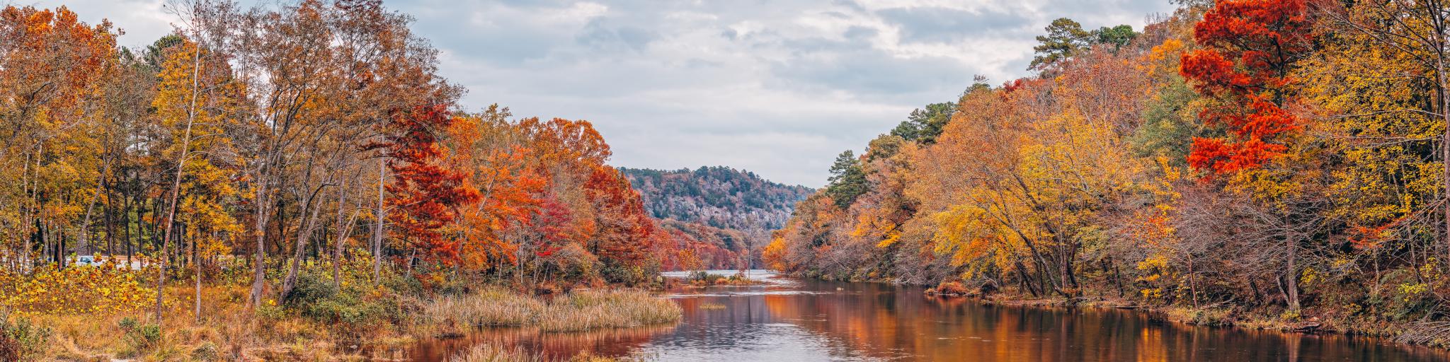 Beautiful fall leaves along the Mountain Fork River in Beavers Bend State Park, Oklahoma.