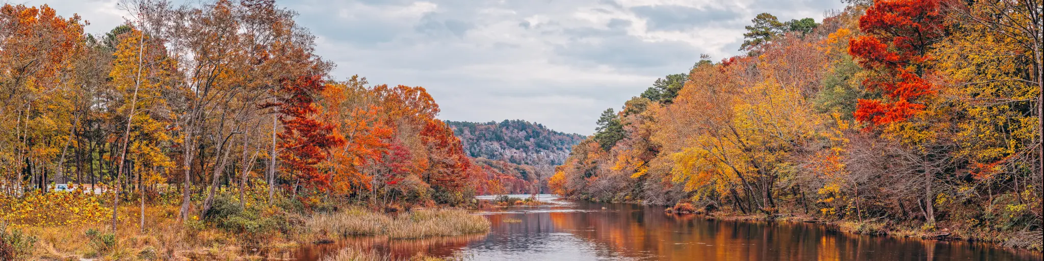 Beautiful fall leaves along the Mountain Fork River in Beavers Bend State Park, Oklahoma.