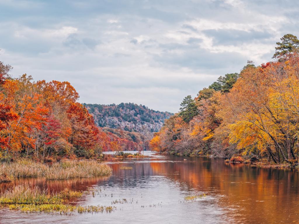 Beautiful fall leaves along the Mountain Fork River in Beavers Bend State Park, Oklahoma.