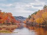 Beautiful fall leaves along the Mountain Fork River in Beavers Bend State Park, Oklahoma.
