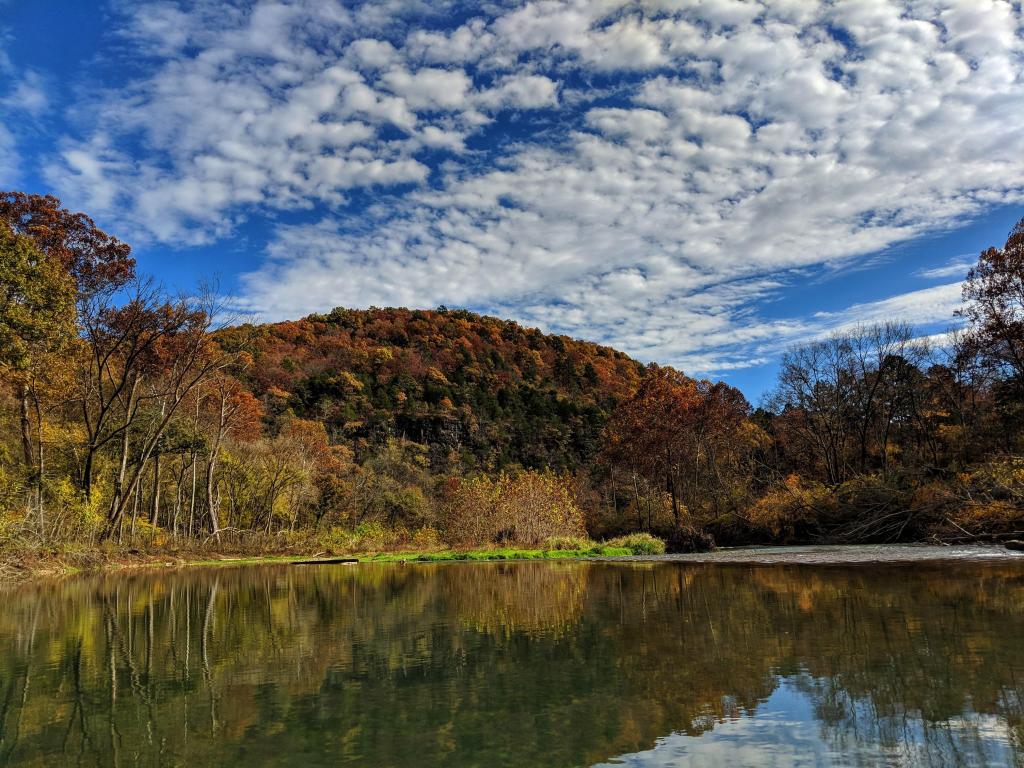 Trees on hillside reflected into still water